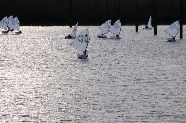 dsc_7412.jpg axel3.jpg bearb.jpg